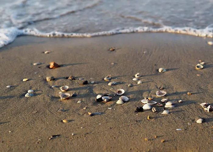 Comfy Flat In A Residence-Beahost *